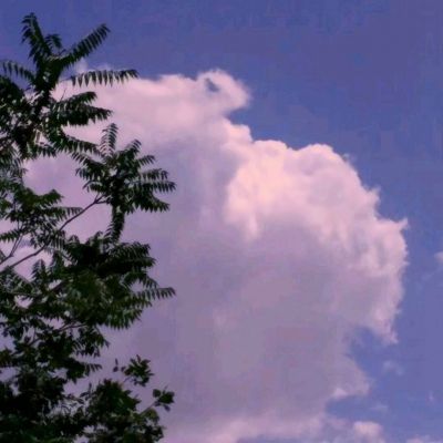 天博tb官网链接